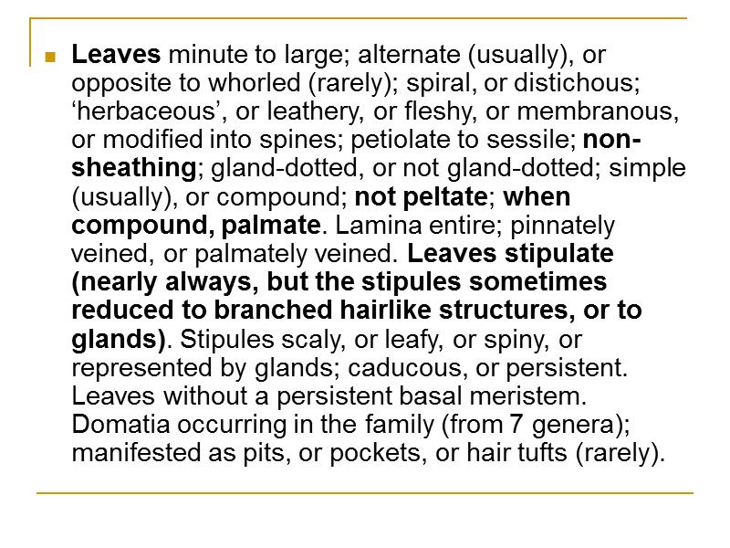 Leaves minute to large; alternate (usually), or opposite to whorled (rarely); spiral, or distichous;